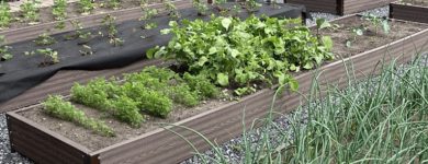 Преимущества грядок из древесно-полимерного композита