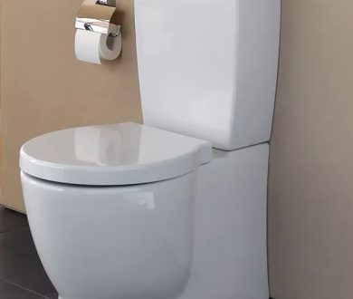 Сколько стоит хороший унитаз. Планируем бюджет.