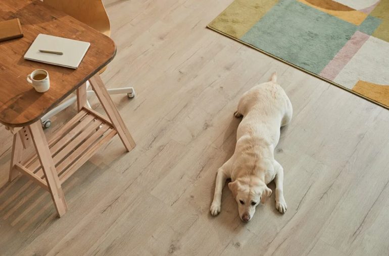 Практичные идеи для пола: выбираем стойкое покрытие для дома с детьми и животными