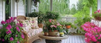 Растения, которые идеально подойдут для украшения террасы