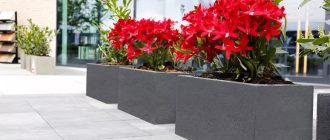 Технология идеального размещения: как бетонные вазоны становятся частью городской среды