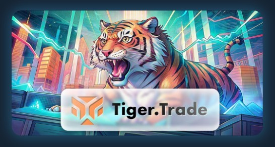 Торговый терминал TigerTrade: Обзор функционала и возможностей